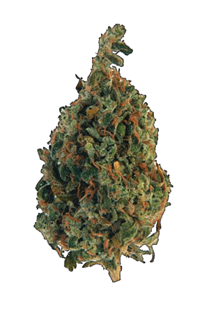 Purple Candy | The High Club Canada Purple Candy | The High Club Canada