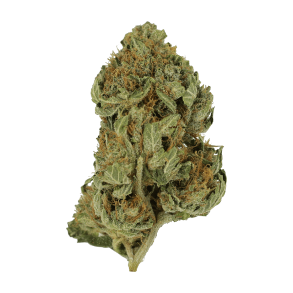 Bubblegum – 1 ounce | The High Club Canada