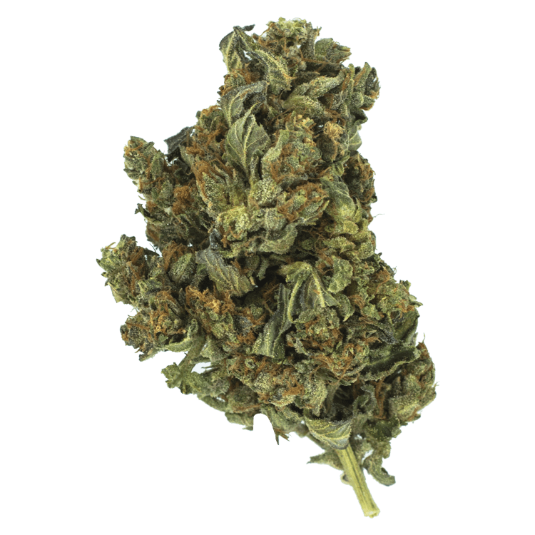 Death Star OG | The High Club Canada Death Star OG | The High Club Canada