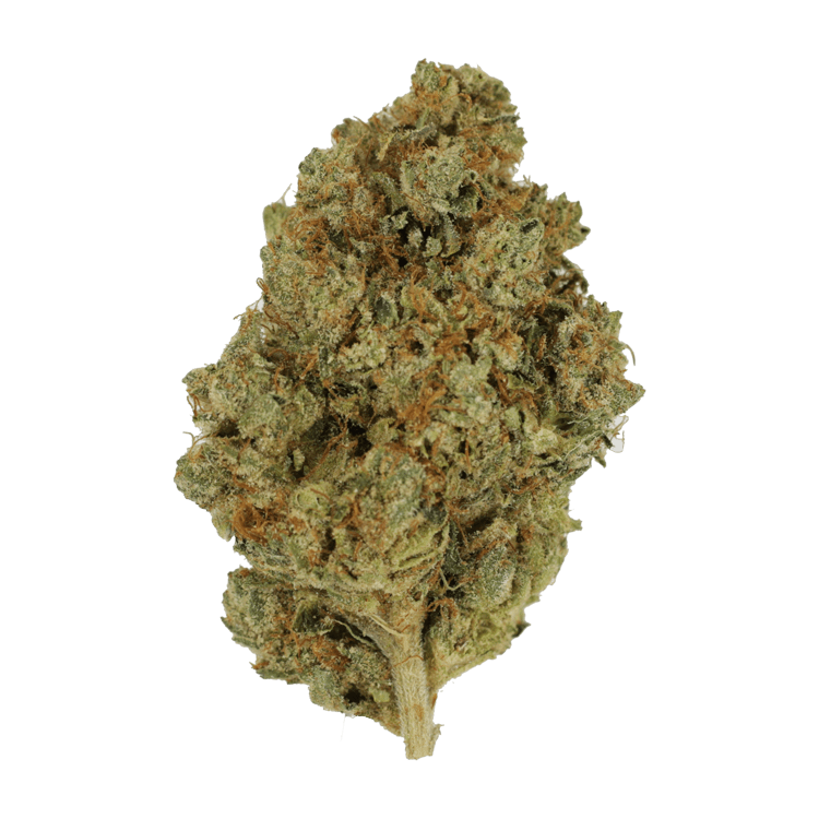 Nepalese | The High Club Canada Nepalese | The High Club Canada