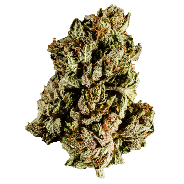 Purple Frost | The High Club Canada Purple Frost | The High Club Canada