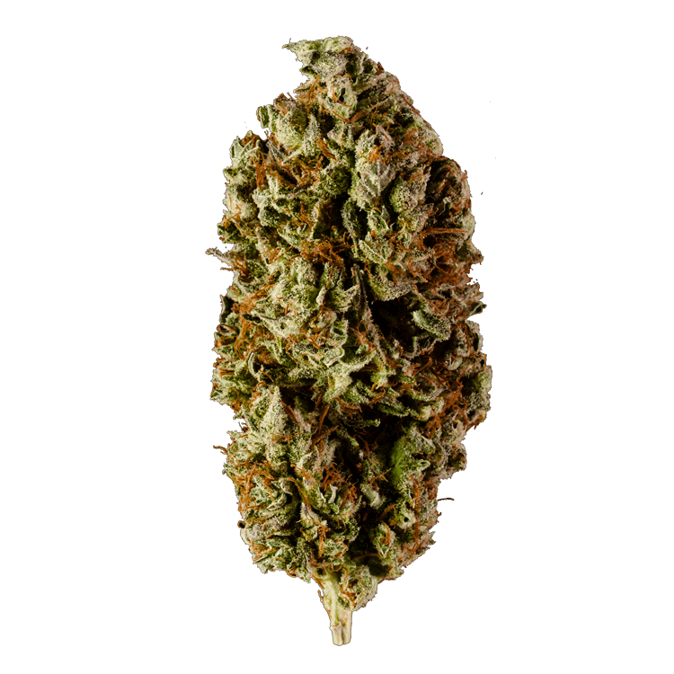 Watermelon | The High Club Canada Watermelon | The High Club Canada