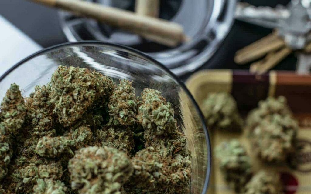 Premium cannabis vs Affordable Weed | The High Club Canada