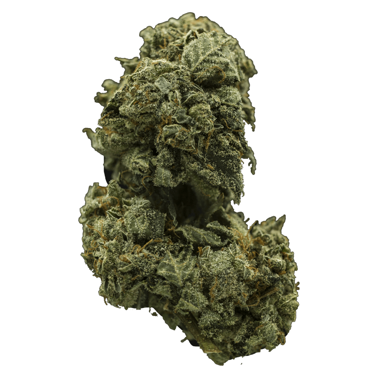 Church OG | The High Club Canada Church OG | The High Club Canada