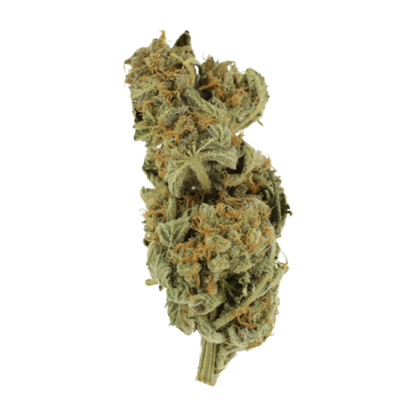 Gorilla Glue | The High Club Canada Gorilla Glue | The High Club Canada