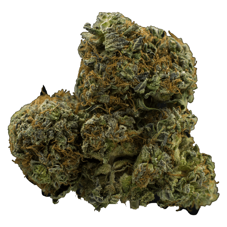 Nukem | The High Club Canada Nukem | The High Club Canada