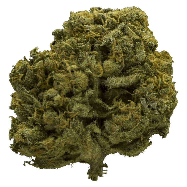 Charlotte’s Web – High CBD | The High Club Canada Charlotte’s Web – High CBD | The High Club Canada