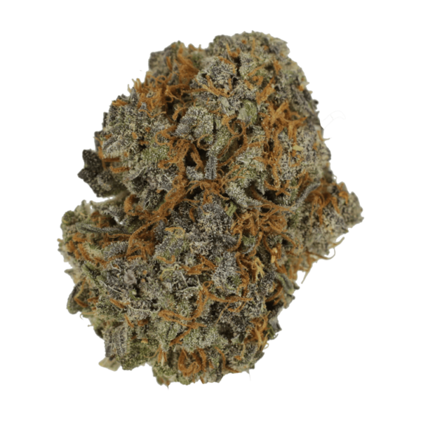 Jack Herer 1 Ounce | The High Club Canada