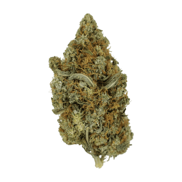 Jack Herer 1 Ounce | The High Club Canada