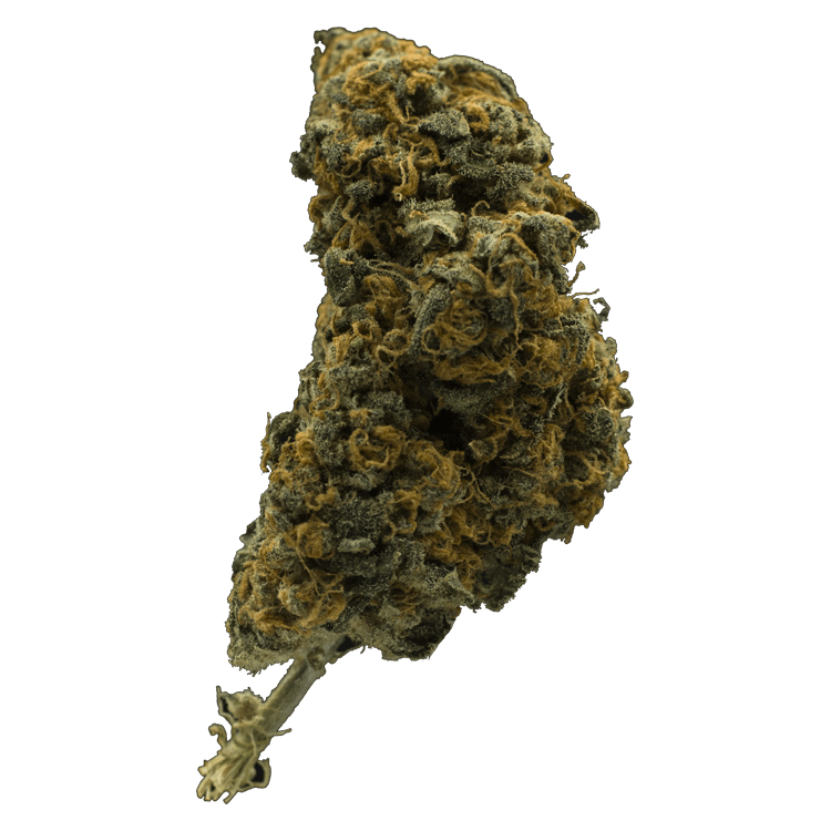 BC CBD | The High Club Canada BC CBD | The High Club Canada