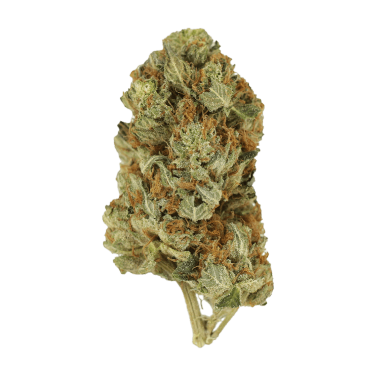 Jet Fuel | The High Club Canada Jet Fuel | The High Club Canada