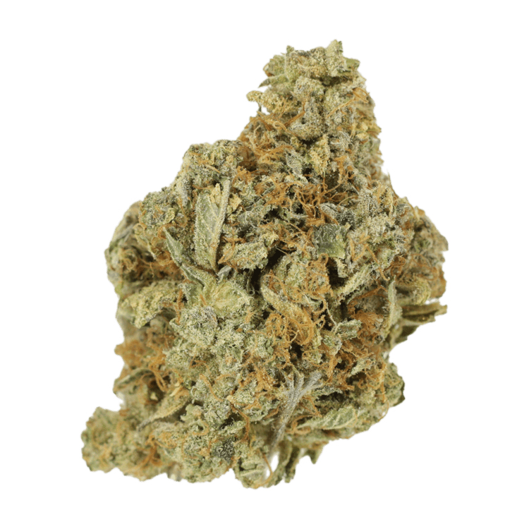 Jet Fuel | The High Club Canada Jet Fuel | The High Club Canada