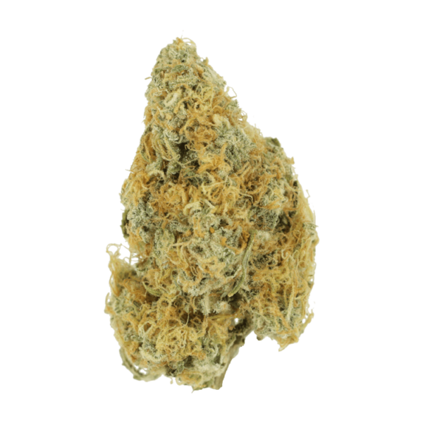 Alien OG (Popcorn) – 2OZ/$69 | The High Club Canada