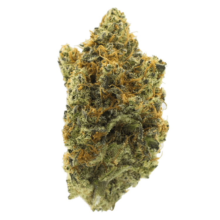 Peyote Cookies | The High Club Canada Peyote Cookies | The High Club Canada