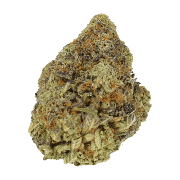 Durban Poison | The High Club Canada Durban Poison | The High Club Canada