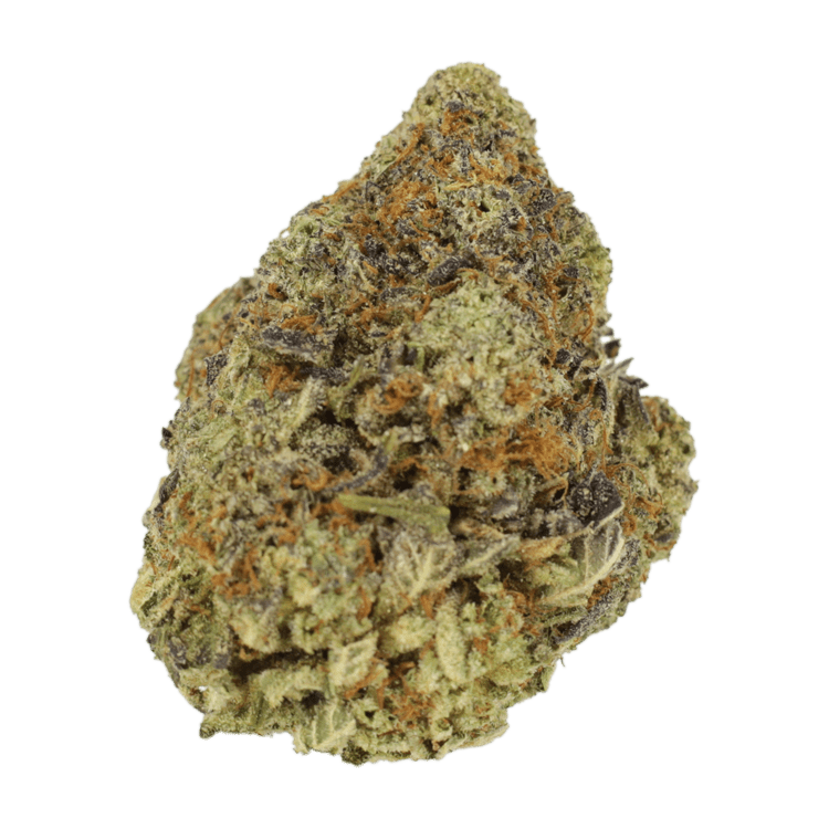 Durban Poison | The High Club Canada Durban Poison | The High Club Canada