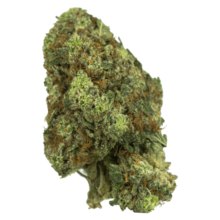 Acid Dough | The High Club Canada Acid Dough | The High Club Canada