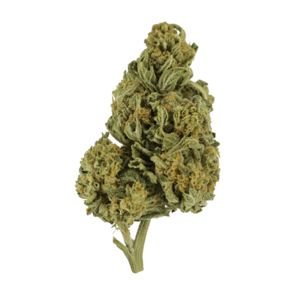 Blackwater | The High Club Canada Blackwater | The High Club Canada