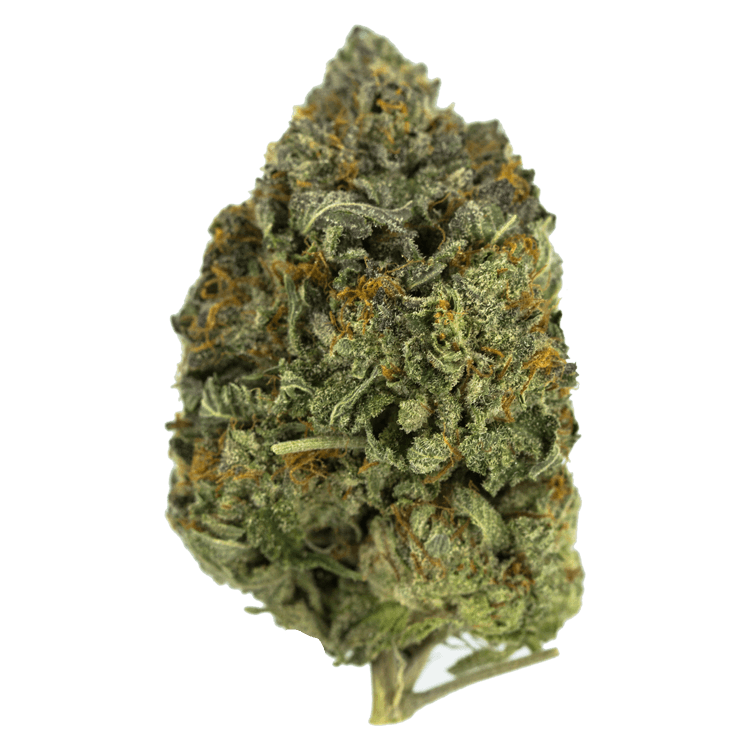 Dancehall | The High Club Canada Dancehall | The High Club Canada