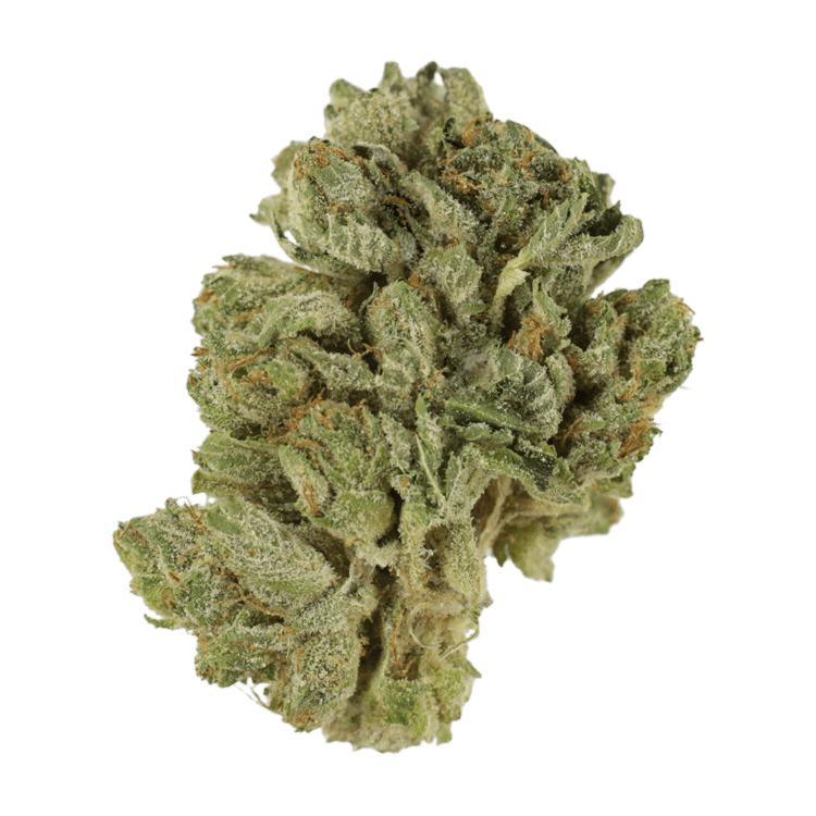 Northern Lights 2 for $69 | The High Club Canada Northern Lights 2 for $69 | The High Club Canada