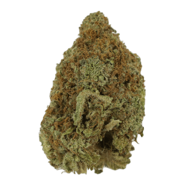 Mango Haze | The High Club Canada Mango Haze | The High Club Canada