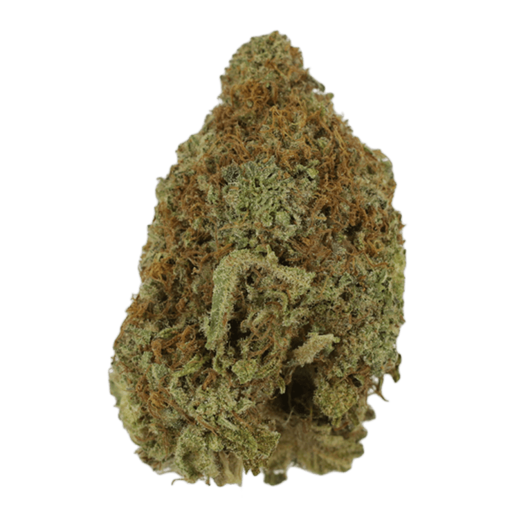 Mango Haze | The High Club Canada Mango Haze | The High Club Canada