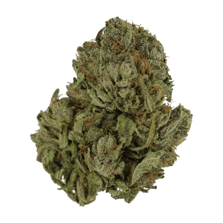 Monster Cookies – $35 / 1oz | The High Club Canada Monster Cookies – $35 / 1oz | The High Club Canada