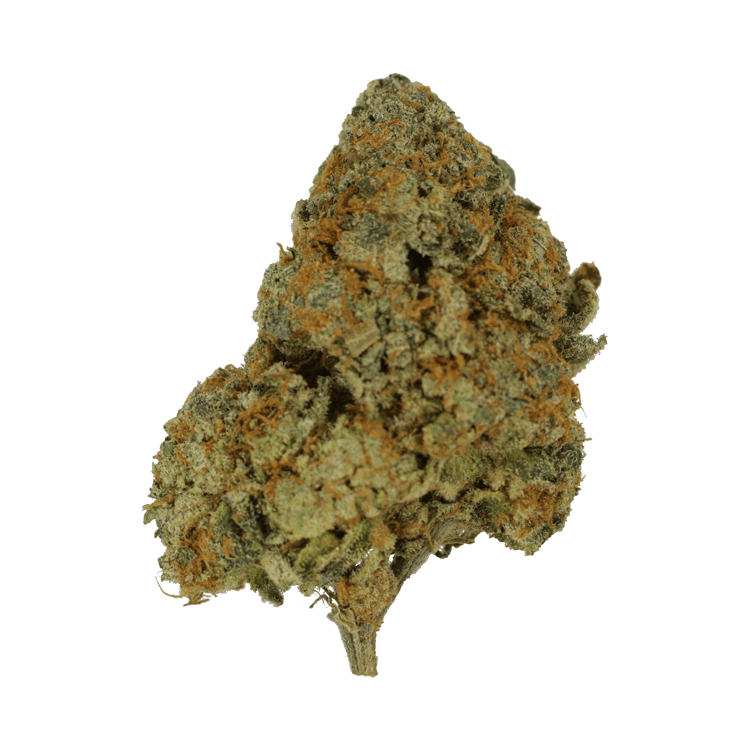 9lb Hammer | The High Club Canada 9lb Hammer | The High Club Canada