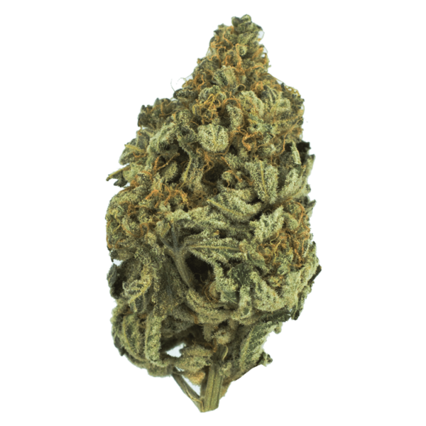 Bakerstreet | The High Club Canada Bakerstreet | The High Club Canada