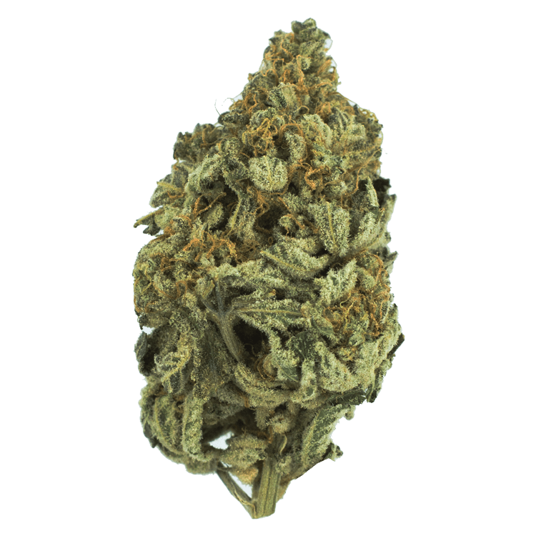 Bakerstreet | The High Club Canada Bakerstreet | The High Club Canada