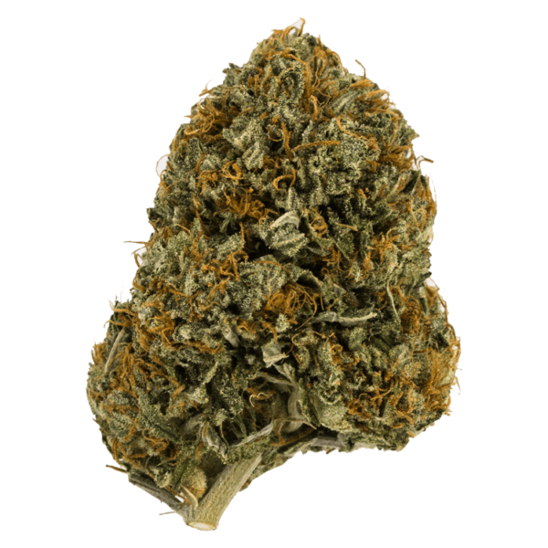 Wifi OG – 1 ounce | The High Club Canada