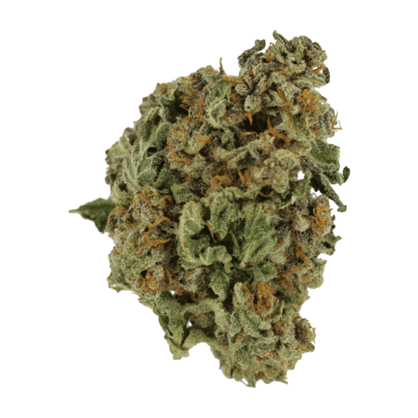 G Code | The High Club Canada