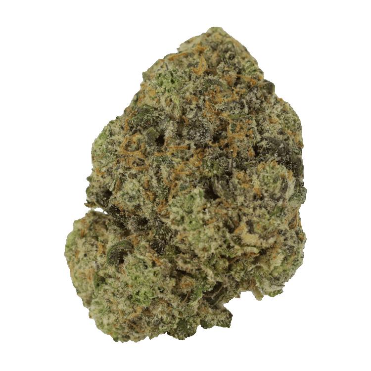 Captain’s Cake | The High Club Canada Captain’s Cake | The High Club Canada