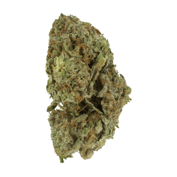 Gelato Sorbet – 1 ounce | The High Club Canada