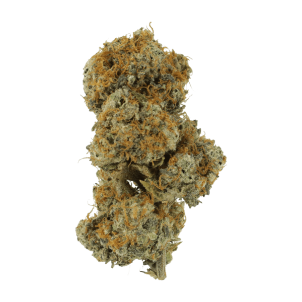 Stripper Spit | The High Club Canada