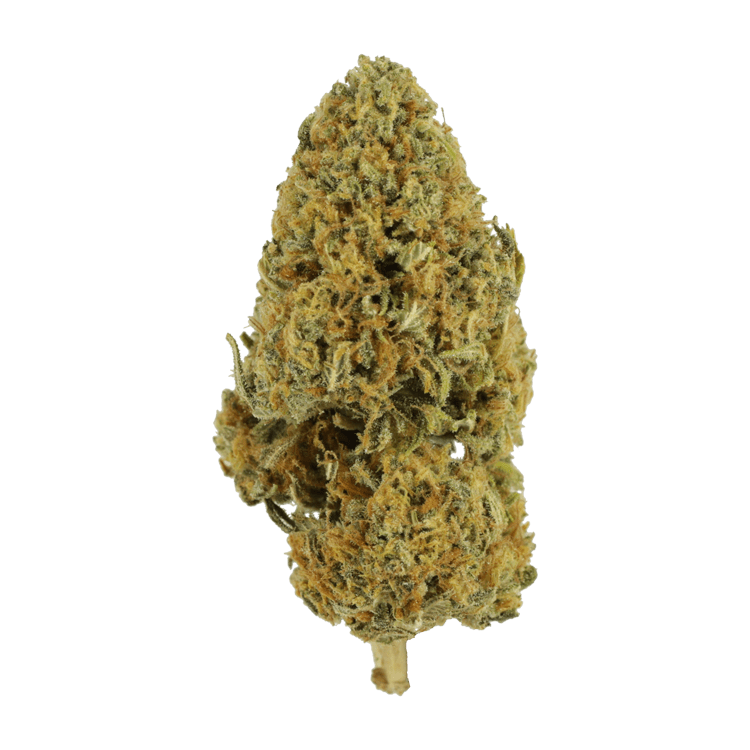 Grapefruit – 1 ounce | The High Club Canada Grapefruit – 1 ounce | The High Club Canada