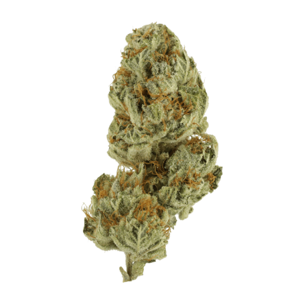 Strawberry Glue | The High Club Canada