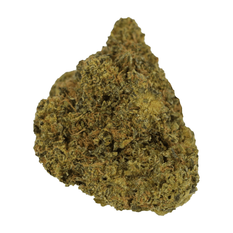 Dosi Dos | The High Club Canada Dosi Dos | The High Club Canada