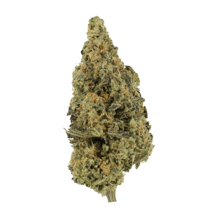 Lava Fuel | The High Club Canada Lava Fuel | The High Club Canada