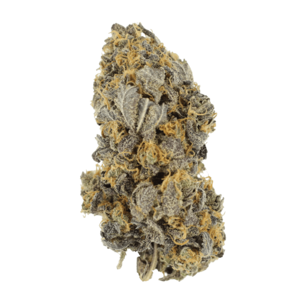 Mcgrupp | The High Club Canada