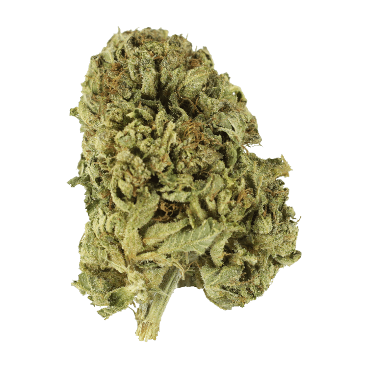 Strawberry Romulan | The High Club Canada Strawberry Romulan | The High Club Canada