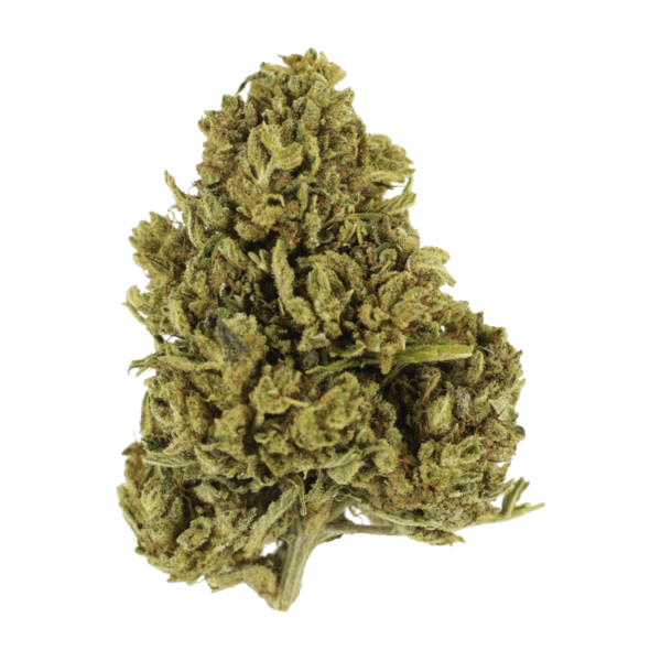 Cherry Wine (CBD) | The High Club Canada