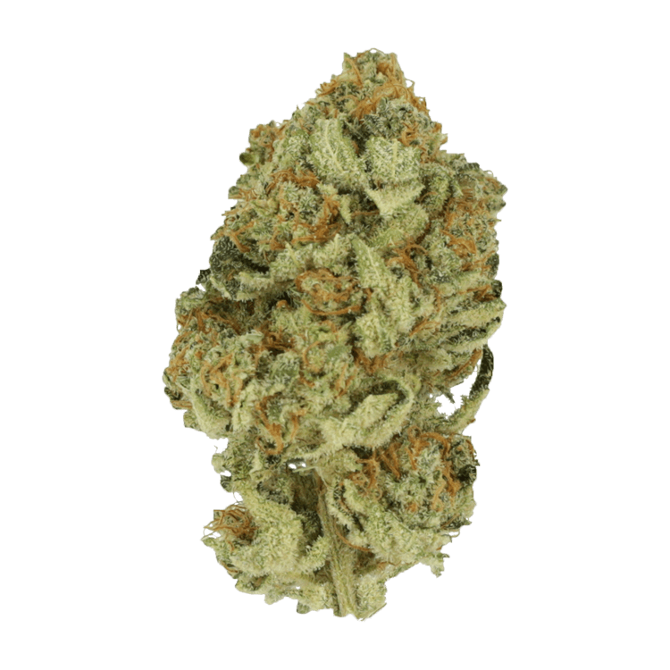 Black Cherry Punch | The High Club Canada Black Cherry Punch | The High Club Canada