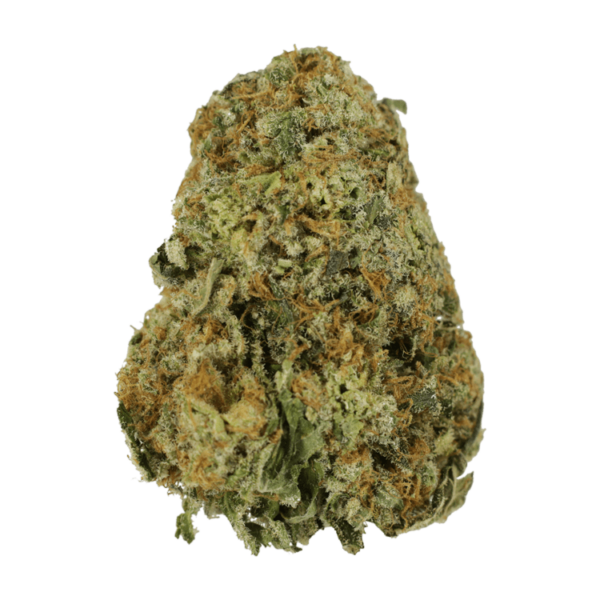 High School Sweetheart | The High Club Canada High School Sweetheart | The High Club Canada