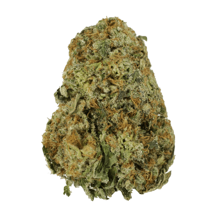 High School Sweetheart | The High Club Canada High School Sweetheart | The High Club Canada