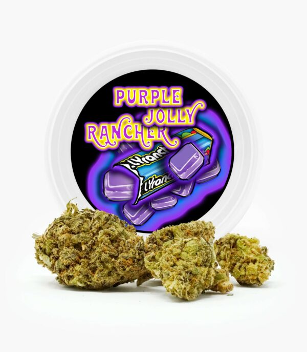 Westcoast Cali Tins – Premium Flower – Skywalker OG – 3.5g | The High Club Canada