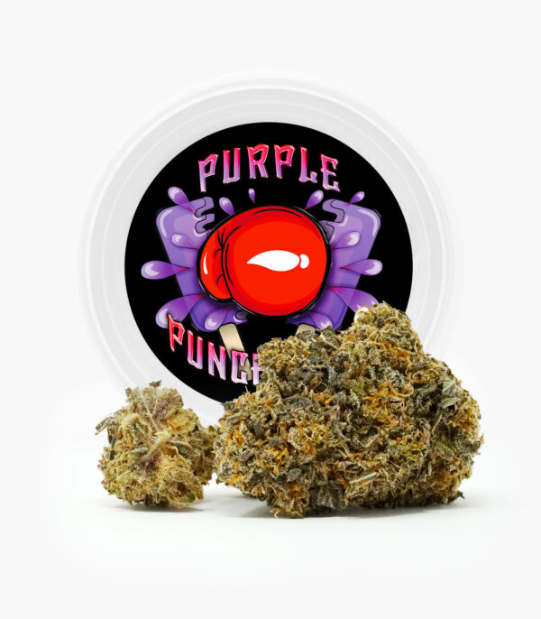 Westcoast Cali Tins – Premium Flower – Purple Punchsicle – 14g | The High Club Canada