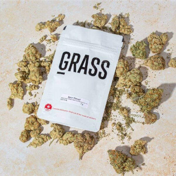1/2OZ Sample Pack (AAA) – SAVE 20% | The High Club Canada