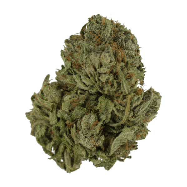 Salt Pot – Corn Nuts – 250mg THC | The High Club Canada