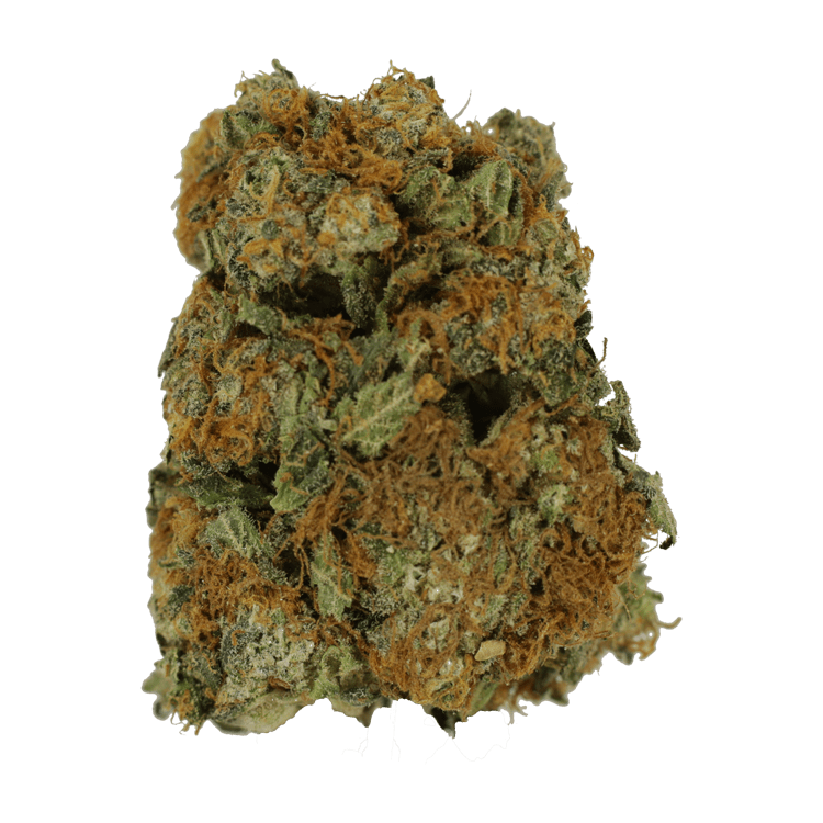 Sour Amnesia | The High Club Canada Sour Amnesia | The High Club Canada